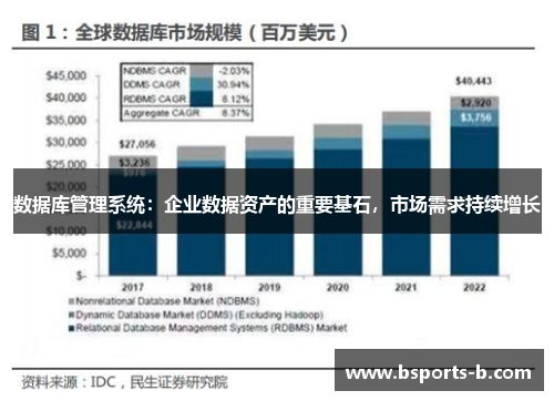 数据库管理系统：企业数据资产的重要基石，市场需求持续增长